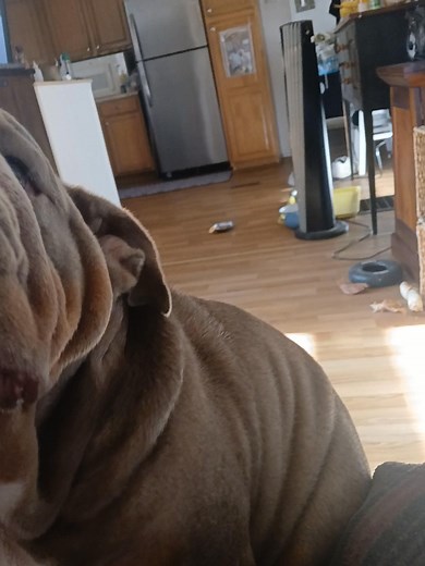 Joe Mcclellan on Reels