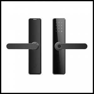 [Hot Item] Smart Door Lock Biometric Fingerprint Digital Intelligent Door Lock with Tuya System