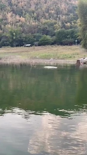 23K views · 224 reactions | Perfect Cast! #fishing | Lone Star Outdoors Show | Facebook