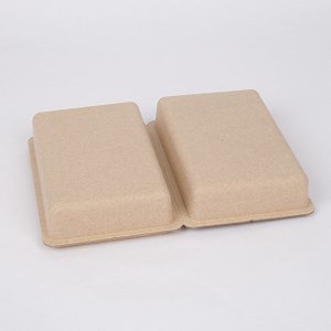 [Hot Item] Molded Pulp Biodegradable Packaging Seismic and Anti Drop Molded Pulp Tray Packaging