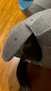 2.3K views · 554 reactions | This is what is happening in deep space. | Capt. James T. Kirk | Facebook