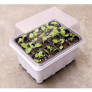 [Hot Item] Home Garden 6 12 Cells Plastic Seedling Grow Box Planting Trays with Transparent Breathable Cover