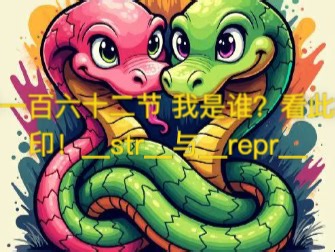 python 第一百六十二节：我是谁？看此打印！__str__与__repr__