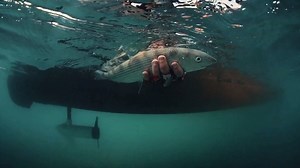 Our 2020 ICAST Gear Guide also includes watercraft! So let's see what new from Old Town Canoes & Kayaks. For starters check out the Sportsman Autopilot 136. Learn more at https://bddy.me/2ZF5FkY. Don't forget, catch a full evening of fishing tonight starting at 6 PM EST on Outdoor Channel, Sportsman Channel and WFN! #fishing #kayak #power #Minnkota #Florida #Floridapaddlers #Kayak #Canoe | Florida Sportsman Magazine