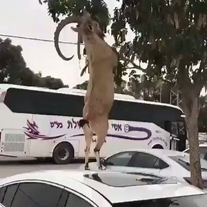 Amazing Pakistan on Reels