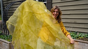 How Garden Mesh Became My Favorite Solution for Organic Pest Control • Gardenary