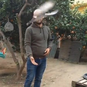 3.4K views · 110 reactions | 樂 | Double Fun | Facebook