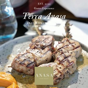 Ανακαλύψτε το Terra Anasa Mediterranean Restaurant στο Ελαιοχώρι Καβάλας εντός του Anasa Luxury Resort. Μια νέα Gastro Experience πρόταση με μοναδικά πιάτα εμπνευσμένα απο την ευρύτερη Μεσογειακή κουζίνα σε ένα state of the art περιβάλλον με απεριόριστη θέα. Κρατήσεις και πληροφορίες στο 251 151 2000 #terraanassa #anasaluxuryresort #kavalarestaurant #almyrabeach #mediterraneancuisine | Anasa Luxury Resort