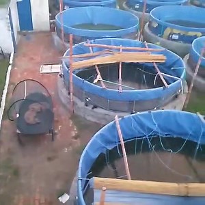 Biofloc Fish tanks for Sale. 15 Biofloc fish tanks Ka chalta howa...