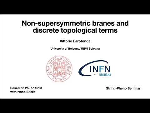 Vittorio Larotonda | Non-supersymmetric branes and discrete topological terms