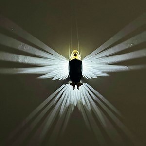 [Hot Item] Battery Operated LED Bald Eagle Wall Light