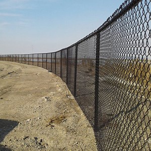[Hot Item] Black PVC Coated Chain Link Wire Mesh Fence Cyclone Fence for Farm Border
