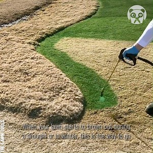 Satisfying process of lawn painting Partner: The Lawn Tools | Bored Panda Art