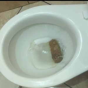 Flushing thick poop at home