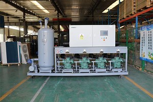 [Hot Item] Xingx Cold Room Best Price Cold Storage with Freon or Ammonia Refrigeration System for Food, Chemical, Medicine, Electronics Industry