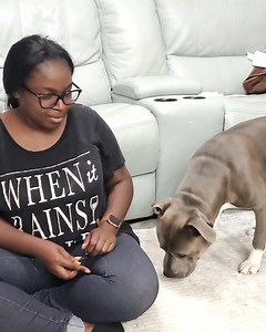 12K views · 551 reactions | My soul mate! #khingkingthepittie | Khing King The Unleashed | Facebook