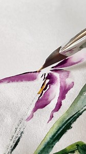 watercolour floral study 🌱 | pigmentsandmood