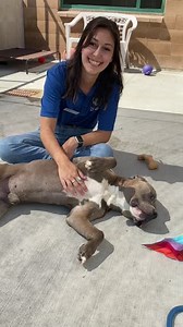 5.1K views · 387 reactions | This whole week, Port of Subs is...