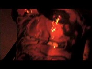 Takashi Miike's Gozu-scene remake