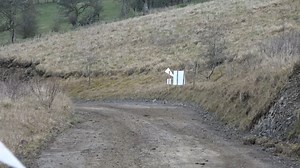 BHRC Round 2 Preview 👇 https://themotorsporthubni.com/2023/03/23/british-historic-rally-championship-round-2-preview/ The second round of the BHRC Championship is on this Saturday at Rally North Wales. To get in the mood here's some footage of the Welsh Rally media day with Ford Escorts supplied by British Rally Media #rallynorthwales #welshrallying #FordEscorts #BHRC | The Motorsport Hub