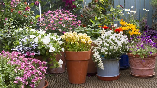 Give Your Garden Planters A Major Upgrade With This Wine Cork Hack - House Digest