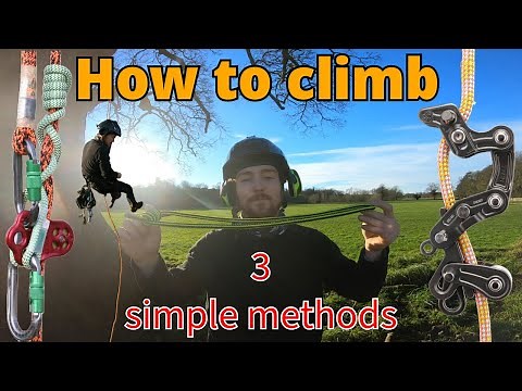 3 easy methods on how to climb a tree | Arborist training for beginners (and pros)