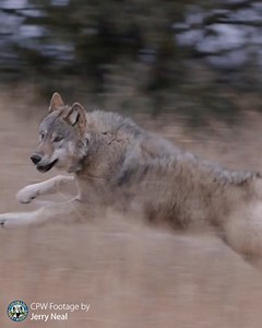 11K views · 427 reactions | On Monday Dec. 18, we released five...