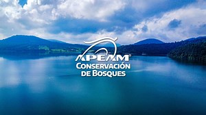 Conexión APEAM | Semana 1 | Julio 2024. 🚛🥑 •⁠ Inicia entrega de planta - Conservación de Bosques. 🌲🌳 •⁠ ⁠Envíos totales de México a Estados Unidos - Semana 26.🇺🇸🚛 •⁠ Capacitación Estimación de cosecha. 🥑🇲🇽🌎 •⁠ 347 niñas y niños beneficiados APEAM-LAZOS👧🏻🤝 . . . #APEAM #MateriaSeca #AFM #AguacatesMexicanos #Michoacán #Jalisco | APEAM AC