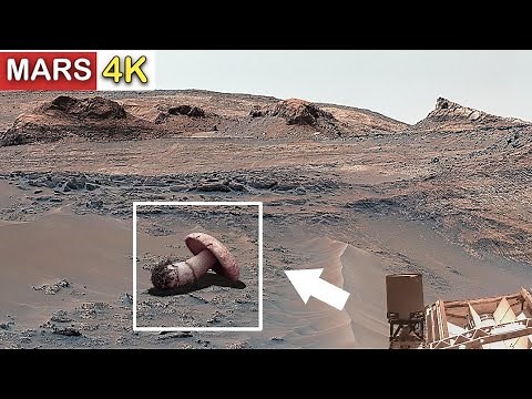 NASA’s Curiosity Rover Captures Stunning Panoramic Footage of Mars in 4K!