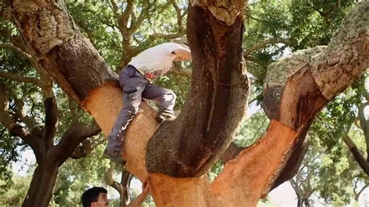 How Lush is reinventing sustainable packaging