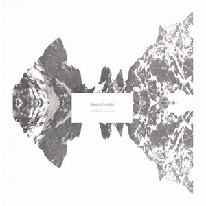 Una nueva de Beach Fossils: Shallow