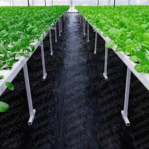 [Hot Item] Multi Vegetables Sainpoly Agricultural Green House Commercial Hydroponic Lettuce PC Greenhouse
