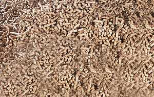 Wood pellet horse bedding: what are the pros and cons? - Horse & Hound