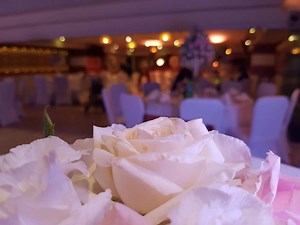 Celebrate your weddings like royalty at St George Hotel Jerusalem | St George Hotel Jerusalem | Facebook