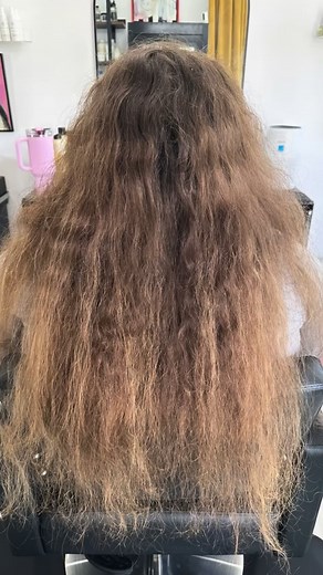 Don’t let holiday planning fray your nerves and frizz your hair! Take control with a deep treatment, curly cut and style, or maybe a gloss is all you need! Click the link in my bio to get started 👆 | ABE Artistry/Hair & Makeup by Jessi