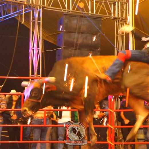 🔥 Un toro 🐂 Conquistador se llama Bayzer 🆚 Niño de Apatlaco 🤠 #RanchoElCapullo 👑 | Jaripeyero de Corazón