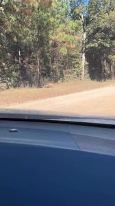 Doyle Arrant on Reels