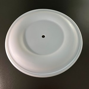 [Hot Item] Pump Replacement Parts PTFE Diaphragm Applied for Pneumatic Diaphragm Pumps