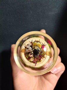 Mechanical Bumblebee Diorama the Smallest Mechanical Insect With Flapping Wings Home Decor Cool Nature Gifts Kinetic Sculpture Aesthetic Art - Etsy Canada