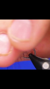 5.1K views · 207 reactions | Rick Passek @theflyfishfanatic ties a very effective Wet Fly; The Peacock Snatcher. We’ve used this fly on both lakes and rivers with great success. Watch the FULL version on our YouTube Channel and commercial free on our Member site. . . . . . First Tellurium Corp Maui Jim TW Outdoors Scientific Anglers Authentic T-Shirt Company Humminbird Hardy Fly Fishing The Flyfish Fanatic - Rick Passek | Sport Fishing on the Fly - SFOTF | Facebook