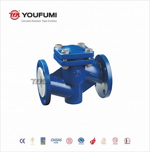 [Hot Item] PFA Lined Through-Way Lift Check Valve