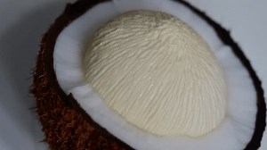 Haustorium Root Like Structure That Absorbs Stock Footage Video (100% Royalty-free) 3578205141 | Shutterstock