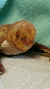 61 reactions · 23 shares | Hello Beautiful! Please be on the lookout...