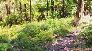 A sexy girl for a naked walk in the woods