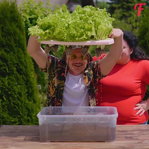 Building beautiful flower and vegetable beds with DIY skills. | Tips & Tricks