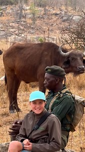 30K views · 2.9K reactions | The main differnce between a male and famale buffalo is seen in their horn formation - let me show you!  | Brooke.Carter | Facebook