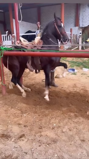 Cuaco Cuaco … Cuadra Mendoza #sociedadecuestre | Sociedad Ecuestre