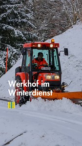 2.2K views · 61 reactions | Um 4 Uhr morgens sind sie bereits im...