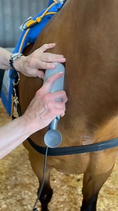 Easy show mornings start with the Equissage Pulse Hand Unit. 😴 Soothe sore muscles and support recovery with this handheld therapy tool designed to deliver powerful, targeted massage wherever your horse needs it most. Shop the set here: https://www.farmvet.com/Equissage-Hand-Set | FarmVet