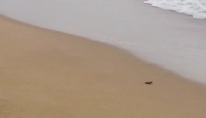 Ville de Fréjus on Reels